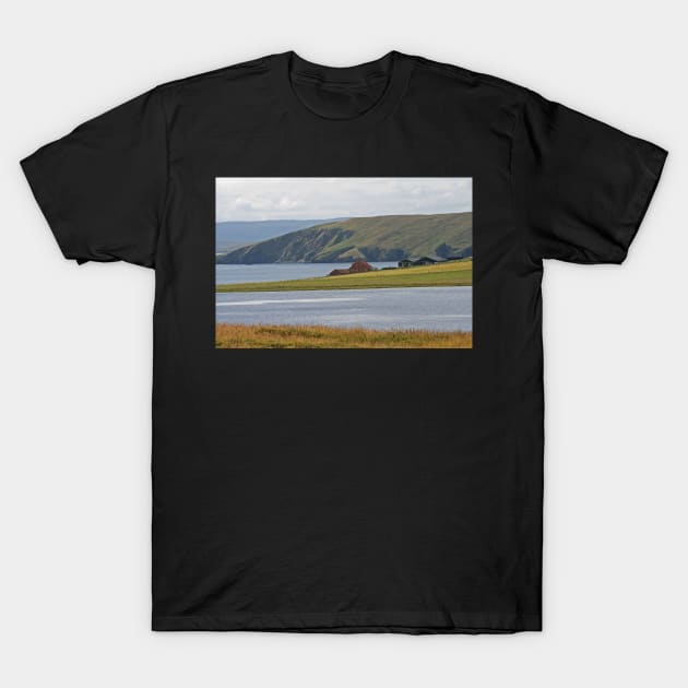 Shetland T-Shirt by orcadia